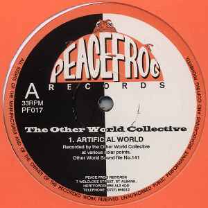 The Other World Collective - Artificial World