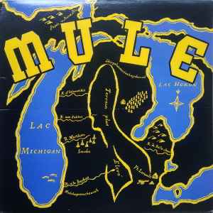 Mule - Mule