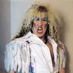 ladda ner album Dee Snider - How To Save The Music Industry