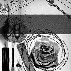 Demdike Stare - Elemental Part Three: Rose album cover