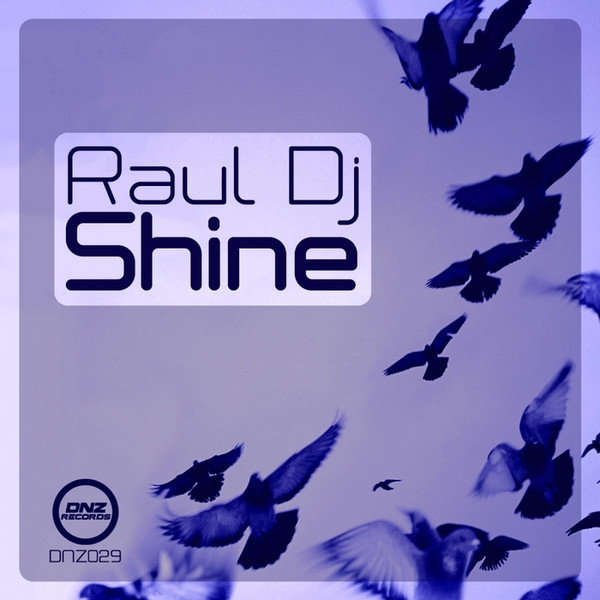 lataa albumi Raul DJ - Shine