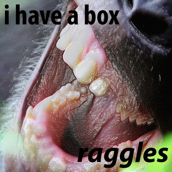 descargar álbum I Have A Box - Raggles