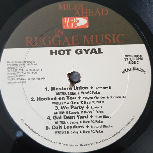 descargar álbum Various - Hot Gyal