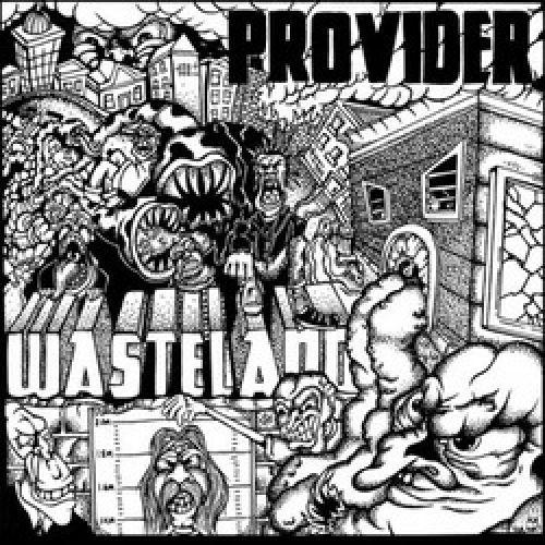 télécharger l'album Provider - Wasteland