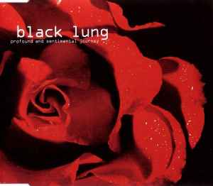 Profound And Sentimental Journey - Black Lung