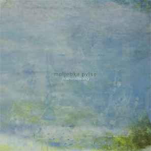 Moljebka Pvlse - Irdlirvirisissong album cover