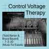Control Voltage Therapy - Modulisme Session 052 (Music For Easels) - Reciprocess 001