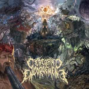 Cerebral Engorgement - Cerebral Chronicles album cover
