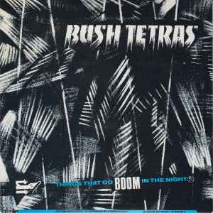 Bush Tetras - Things That Go Boom In The Night album cover