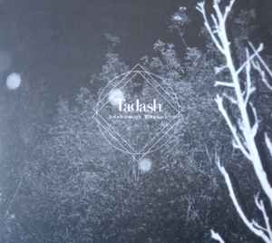 Tadash - Shadow Of Dreams album cover
