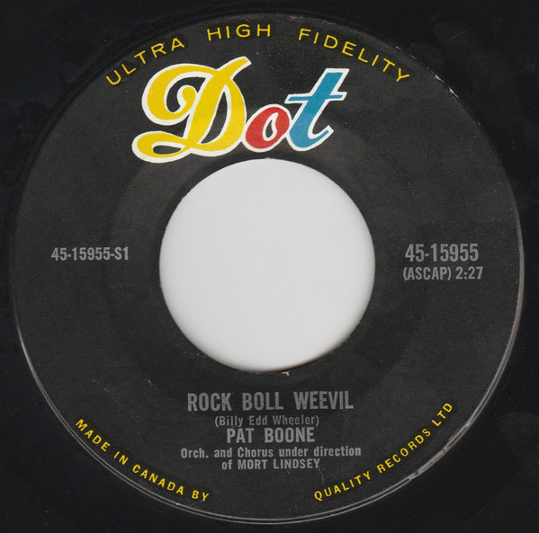 descargar álbum Pat Boone - Rock Boll Weevil Twixt Twelve And Twenty