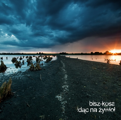 baixar álbum Bisz Kosa - Idąc Na Żywioł