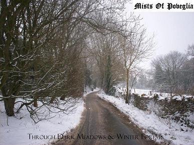 descargar álbum Mists Of Poveglia - Through Dark Meadows Winter Forests