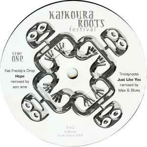 Various - Kaikoura Roots Festival album cover