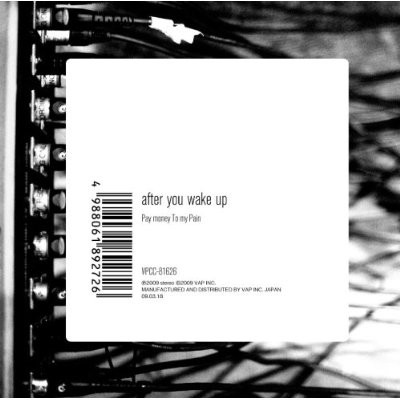 Pay Money To My Pain – After You Wake Up (2009, CD) - Discogs