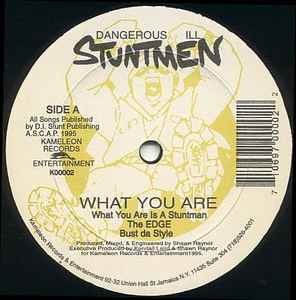 Dangerous Ill Stuntmen – What You Are (1995, Vinyl) - Discogs