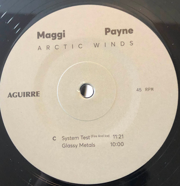 Album herunterladen Maggi Payne - Arctic Winds
