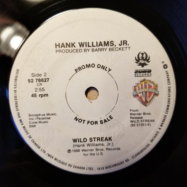 lataa albumi Hank Williams, Jr - If The South Woulda Won Wild Streak