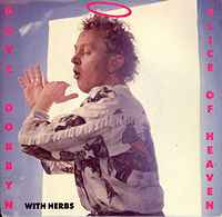 Slice Of Heaven - Dave Dobbyn With Herbs