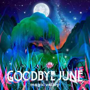 Goodbye June - Magic Valley album cover
