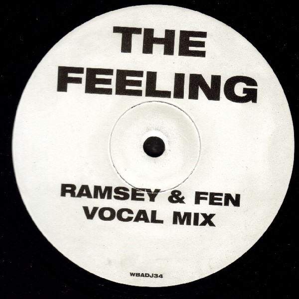 baixar álbum Sweet T - The Feeling Ramsey Fen Remixes