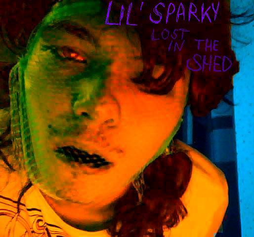ladda ner album Lil' Sparky - Lost In The Shed