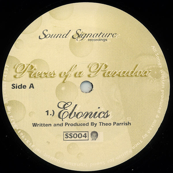 Theo Parrish – Pieces Of A Paradox (1998, Vinyl) - Discogs
