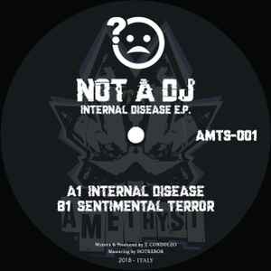 Internal Disease E.P. - Not A DJ