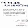 The Levellers - Just The One