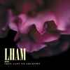 Lham - They Cast No Shadows