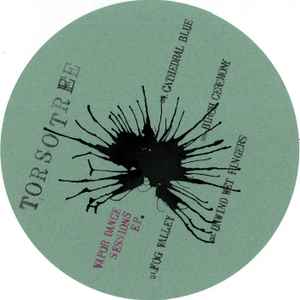 Torsotree - Vapor Dance Sessions album cover