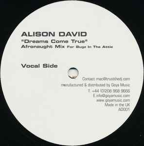 Alison David - Dreams Come True (Afronaught Mix) album cover