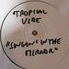Tropical Vibe - Singin' In The Mirror