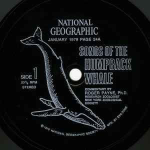 Humpback Whale Commentary By Dr. Roger S. Payne – Songs Of The