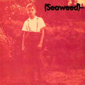 Seaweed - Bill