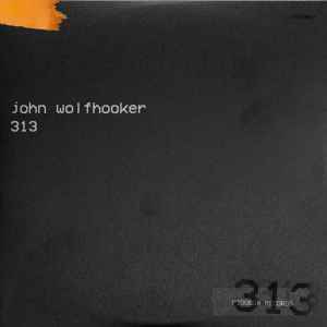 John Wolfhooker - 313 album cover