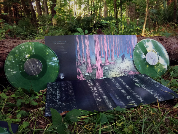 baixar álbum Wanderwelle - Lost In A Sea Of Trees