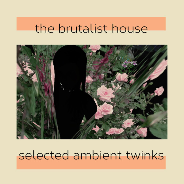 lataa albumi The Brutalist House - Selected Ambient Twinks