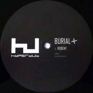 Rodent - Burial