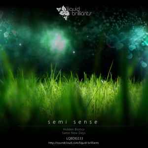 Semi Sense - Hidden Biotics album cover