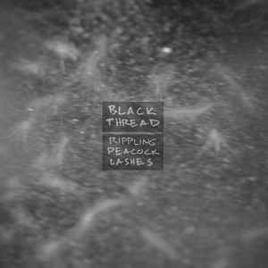 Black Thread - Rippling Peacock Lashes album cover