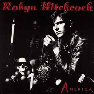 Robyn Hitchcock - America album cover