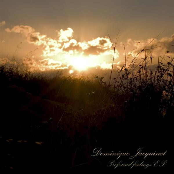 télécharger l'album Dominique Jacquinet - Profound Feelings EP