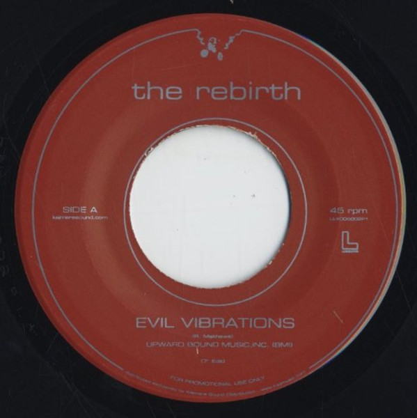 The Rebirth – Evil Vibrations / Shake It (Feel The Same) (Vinyl 