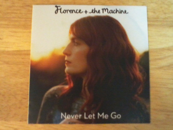 lataa albumi Florence + The Machine - Never Let Me Go