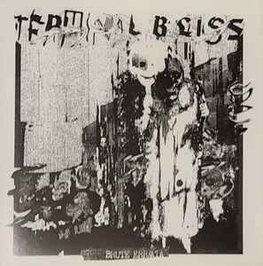 Terminal Bliss (2) - Brute Err/ata album cover