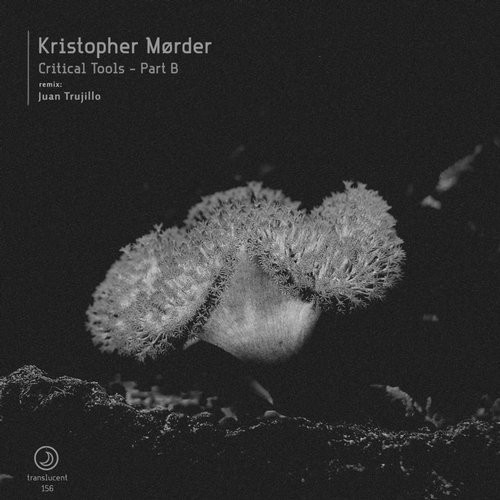 télécharger l'album Kristopher Mørder - Critical Tools Part B