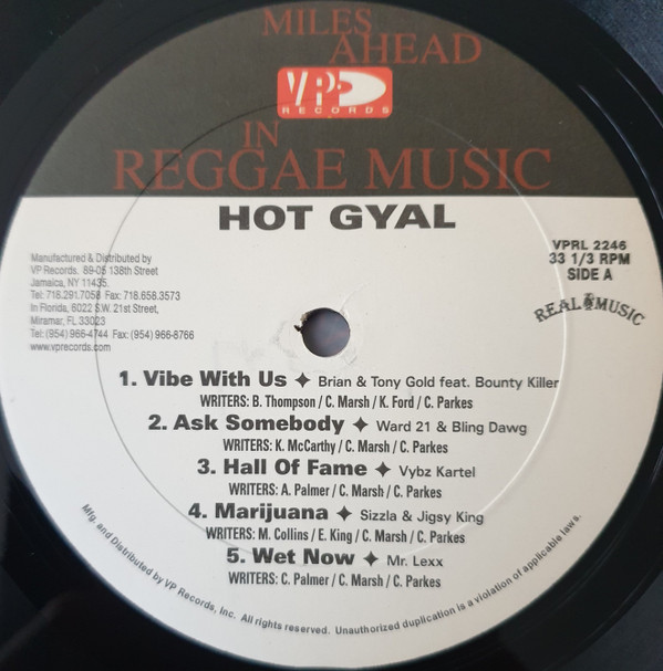 Album herunterladen Various - Hot Gyal