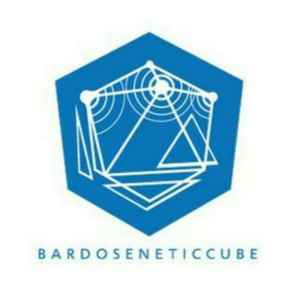 Bardoseneticcube