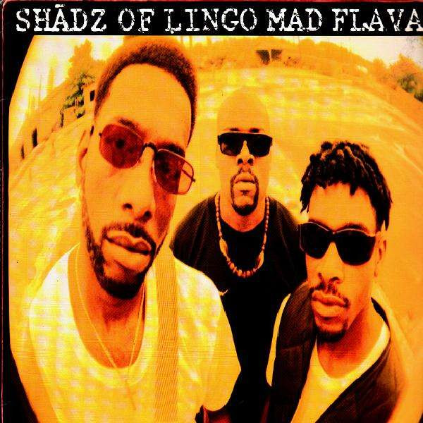 télécharger l'album Shadz Of Lingo - Mad Flavaz
